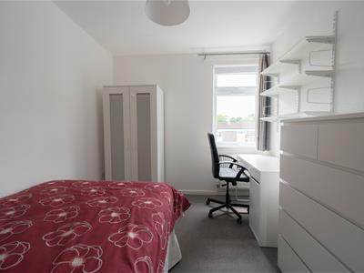Picture 13